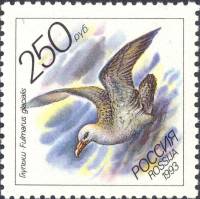 1993-045 Марка Россия Глупыш  Жители морей Тихоокеанского региона III O