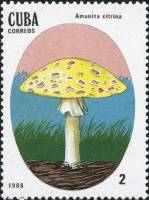 (1988-009) Марка Куба "Мухомор поганковидный"    Ядовитые грибы III Θ