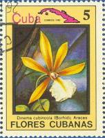 (1983-067) Марка Куба "Динема"    Цветы III Θ