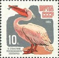 1964-077 Марка СССР Пеликан Перф греб. (18 июня)   100 лет Московскому зоопарку III O