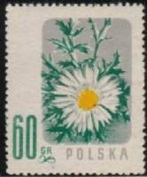 (1957-028) Марка Польша "Колючник бесстебельный"   Цветы II Θ