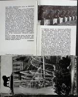 Набор открыток  "Львы", 24 шт.