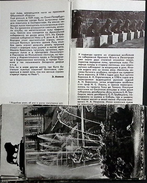 Набор открыток  "Львы", 24 шт.