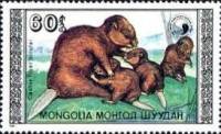 (1989-005) Марка Монголия "Самка с детенышами"    Бобры III Θ