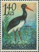 (1967-013) Марка Чехословакия "Черный аист"    Водоплавающие птицы III Θ