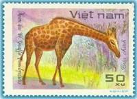 (1981-050a) Марка Вьетнам "Жираф"  Без перфорации  Дикие животные III Θ