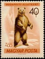 (1961-004) Марка Венгрия "Бурый медведь"    Зоопарк Будапешта II Θ