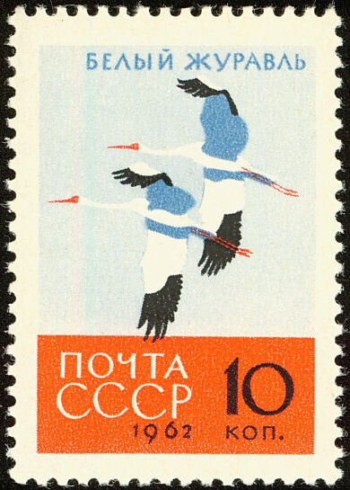 1962-142 Марка СССР Белый Журавль   Птицы III O