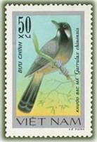 (1978-009) Марка Вьетнам "Чернозобый смехотворный дрозд"   Певчие птицы III O