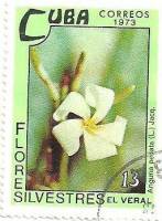 (1973-076) Марка Куба "Ангурия"    Полевые цветы III Θ