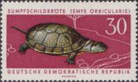(1963-048) Марка Германия (ГДР) "Болотная черепаха"    Охраняемые животные III Θ