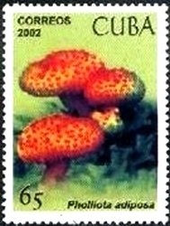 (№4441) Марка Куба 2002 год &quot;Pholiota жировой&quot;, Гашеная
