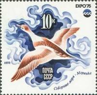 1975-056 Марка СССР Утка морянка  Всемирная выставка ЭКСПО-75. Море и его будущее III O