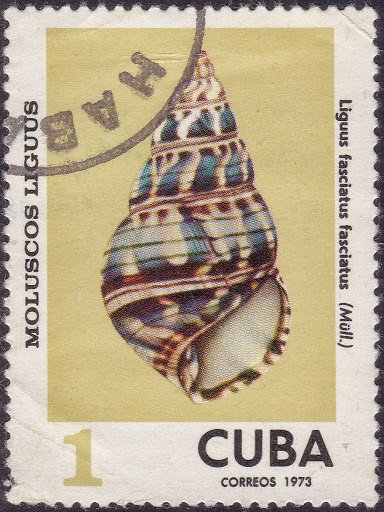 (1973-080) Марка Куба &quot;Полосатый&quot;    Раковины молюсков III O