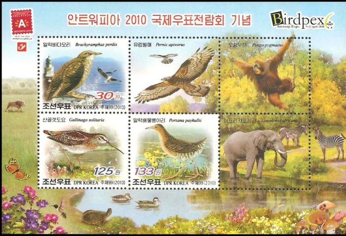 (№2010-764) Блок марок Корея Северная 2010 год &quot;BIRDPEX 6 Антверпен&quot;, Гашеный