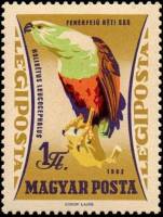 (1962-074) Марка Венгрия "Белоголовый орлан"    Хищные птицы III Θ