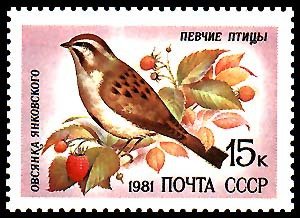 1981-078 Марка СССР Овсянка Янковского  Певчие птицы III Θ