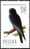 (1975-005) Марка Польша "Кобчик (самка)"    Ястребы III Θ