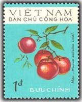 (1975-023) Марка Вьетнам "Слива китайская"   Фрукты III Θ