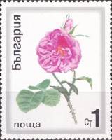 (1970-028) Марка Болгария "Масличная роза"   Розы II Θ