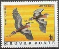(1977-003) Марка Венгрия "Рыжая цапля"    Птицы Национального парка Хортобадь II Θ