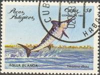 (1981-013) Марка Куба "Белый марлин"    Морские рыбы III O