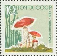 1964-155 Марка СССР Подосиновики Без лакирования   Грибы II O