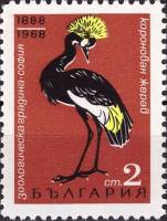 (1968-043) Марка Болгария "Венценосный журавль"   80-летие Софийского зоопарка III O