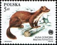(1984-051) Марка Польша "Каменная куница"    Защищенные пушные животные II Θ