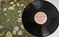 Пластинка виниловая , Песни А. Градского из к/ф "Романс о влюбленных" и др. Мелодия 300 мм. (Сост. о