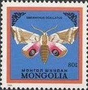 (1986-036) Марка Монголия "Бражник глазчатый"    Бабочки III Θ