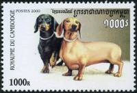 (№2000-2112) Марка Камбоджа 2000 год "Короткошерстная такса canis волчанка familiaris", Гашеная