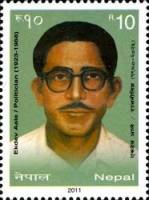 (№2011-1022) Марка Непал 2011 год "Aale Ekdev", Гашеная