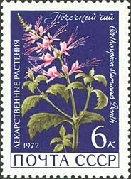 1972-020 Марка СССР Почечный чай   Лекарственные растения II O