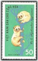(1965-031) Марка Вьетнам "Малый лори"   Дикие животные II Θ