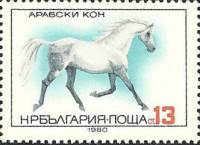 (1980-101) Марка Болгария "Домашняя лошадь"   Породы лошадей II Θ