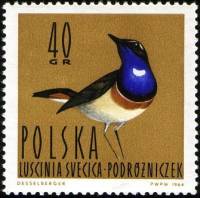 (1964-034) Марка Польша "Варакушка" , III Θ