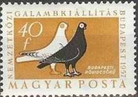 (1957-024) Марка Венгрия "Будапештский шортбик"    Международная выставка голубей, Будапешт III Θ