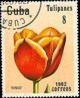 (1982-028) Марка Куба "Ринго"    Тюльпаны III Θ