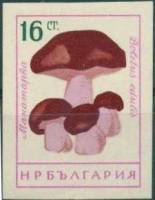 (1961-082) Марка Болгария "Белый гриб"   Грибы (2) III O