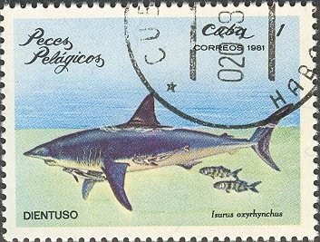 (1981-008) Марка Куба &quot;Акула&quot;    Морские рыбы III O