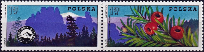 (1975-020-021) Сцепка марок (2 м) Польша &quot;Тис ягодный, Судетские горы&quot;    100-летие Организации гор