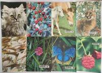 Набор журналов (8 шт) Юный натуралист 1973 № 4, 5, 6, 7, 8, 9, 11, 12 Москва Мягкая обл.  с. С цв ил