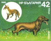 (1985-125) Марка Болгария "Такса"   Охотничья собака III O