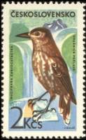(1965-072) Марка Чехословакия "Кедровка"    Горные птицы II Θ