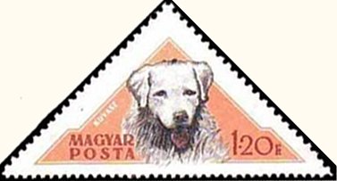 (1956-006) Марка Венгрия &quot;Кувас&quot;    Венгерские породы собак III Θ