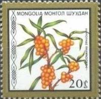 (1987-042) Марка Монголия "Облепиха"    Съедобные ягоды III Θ