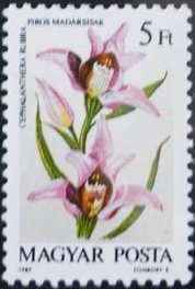 (1987-051) Марка Венгрия "Пыльцеголовник красный"    Орхидеи II &Theta;