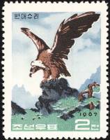 (1967-054) Марка Северная Корея "Чёрный гриф"   Хищные птицы III Θ