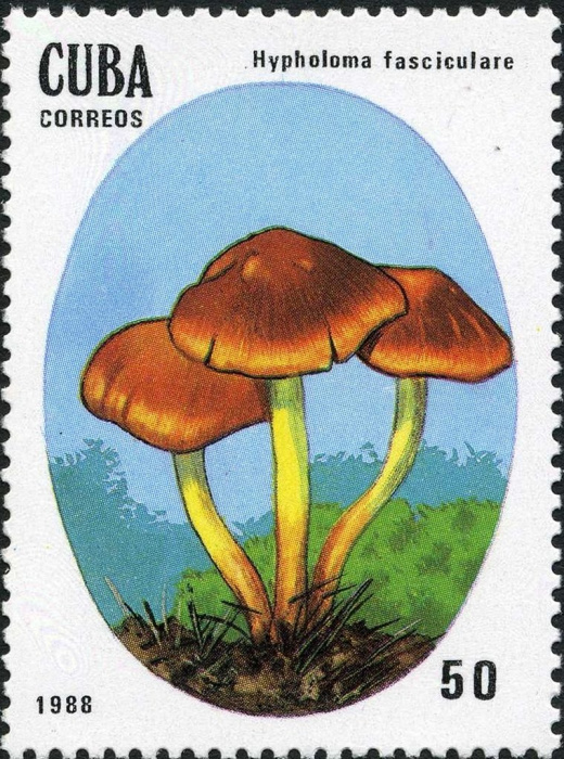 (1988-014) Марка Куба &quot;Ложноопёнок серно-жёлтый&quot;    Ядовитые грибы III Θ